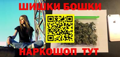 индика Рузаевка