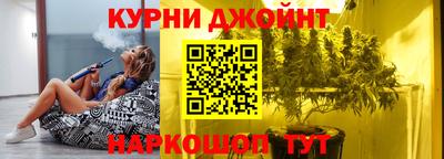 индика Рузаевка