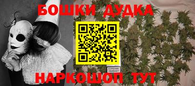 индика Рузаевка