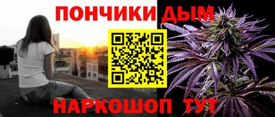 индика Рузаевка