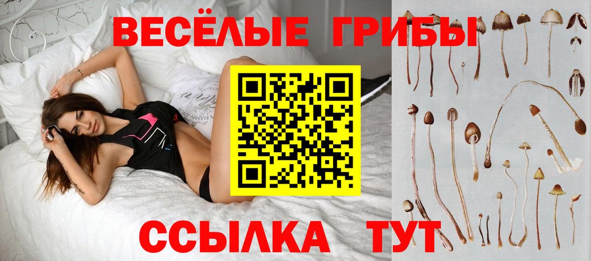 Псилоцибиновые грибы MAGIC MUSHROOMS  купить наркотик  Новодвинск  Вход с VPN  Псилоцибиновые грибы мицелий 