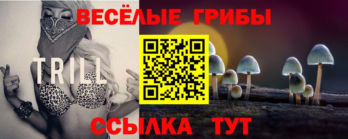 Галлюциногенные грибы ЛСД Новодвинск